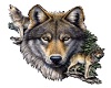 Wolf Plaque
