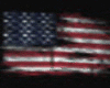 911 USA Flag+Tats