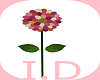 I.D.PIA GARDEN FLOWER.6
