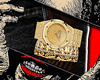 AP WATCH V4