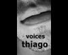 voices thi14