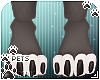 [Pets] Nefer | paws