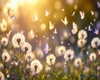Background flowers