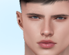 T l Kaius Head