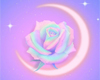 R| Rose background