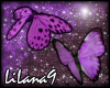 *LL* Purple Butterflies