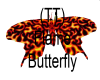 (TT) Flame Butterfly