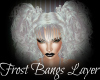 Frost Bangs Layerable