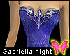 Gabriella Dress Night