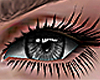 Grey Eyes Unisex HD