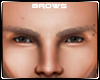 Brown | Brows | Piercing