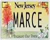 {V} Marce Licence Plate