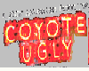 Coyote Ugly sticker