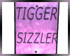 DS* RIGGER SIZZLER <ACHI