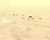 Dune Platform Photo