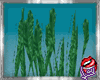 [LD]SeaweedcPlant