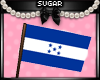 Honduras Flag (M&F)