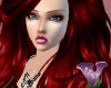 Venia WildBlast Ember