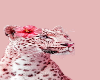 Pink Cheetah.❤️