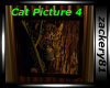 Cat Picture 4 framed