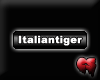 [CS] Italiantiger
