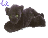 Panther stuffy