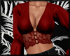 Red Silk / Lace Top ~