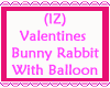 Valentine Bunny wBalloon