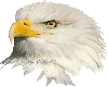 Animated Eagle's Head