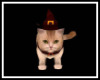 Animated Witch Cat