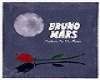 Bruno Mars Talking Moon