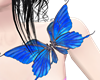 FlutterFly Butterfly