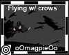 Flying with Crows