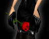 Valentines Red Rose