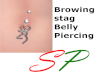 (SP) Browing Stag