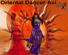 |DRB|Oriental Dancer Avi