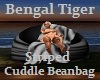 Bengal Beanbag Striped