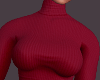 𝕯 Winter Dress
