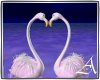 A♥  Lovers Flamingos p