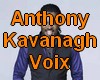 *S Voix Anthony Kavanagh