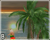 Reggae Dance Platform