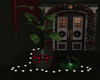 Christmas Home Plants b