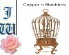 JW Copper n Bluebirds