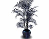 potted fern plant dark