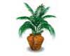 POTTED PLANT 3