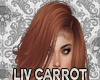 Jm Liv Carrot
