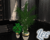 Cooper~PlantsV1