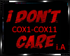 *I Don't Care