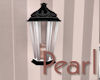 !L! Pearl Lantern
