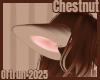 Chestnut Ears 4